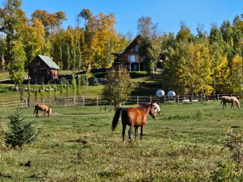 Division No. 9 Bed & Breakfast | 7 Tails Guest Ranch