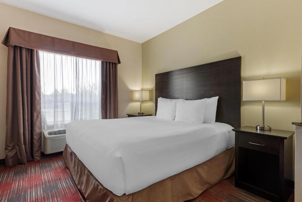 Red Deer Hotel | Best Western Plus Red Deer Inn & Suite