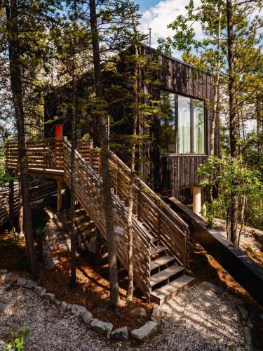 Whitehorse House | Black Spruce - Orange Door