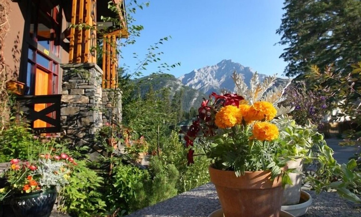Banff Bed & Breakfast | Buffaloberry B&B