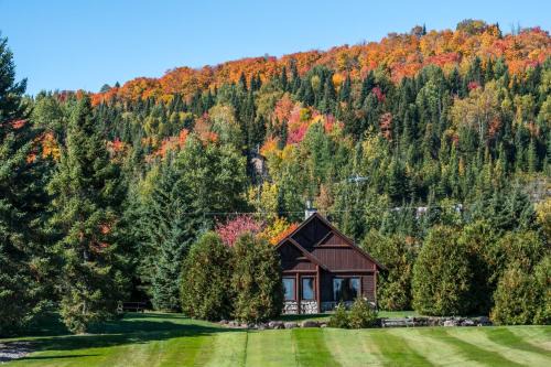 Saint-Faustin-Lac-Carre Ski Chalet | Chalets Royal Laurentien