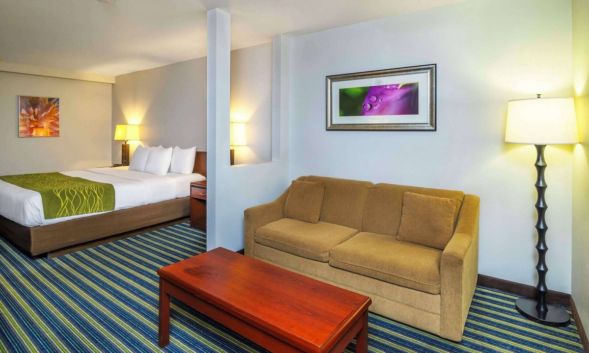 Moose Jaw Hotel | Comfort Inn & Suites