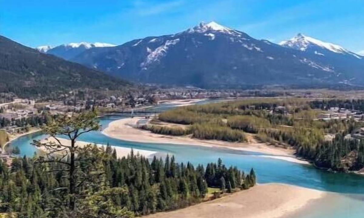 Revelstoke Apartment | Cozy Suites! Great Location! Spirit Bear
