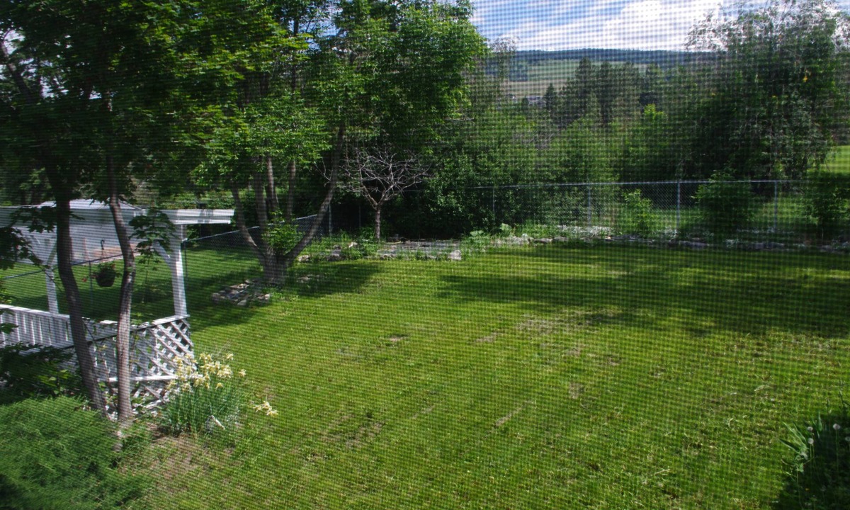 Ellison House | Large 4+ bdrm Home, Pet Friendly Games room kid friendly, 2 Kitchens.