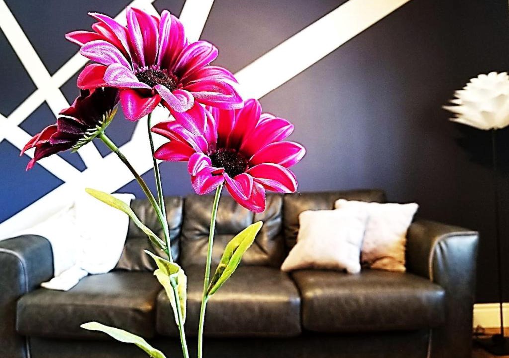 Downtown Ottawa Apartment | Loving Life in Downtown Ottawa - Beautiful Getaway
