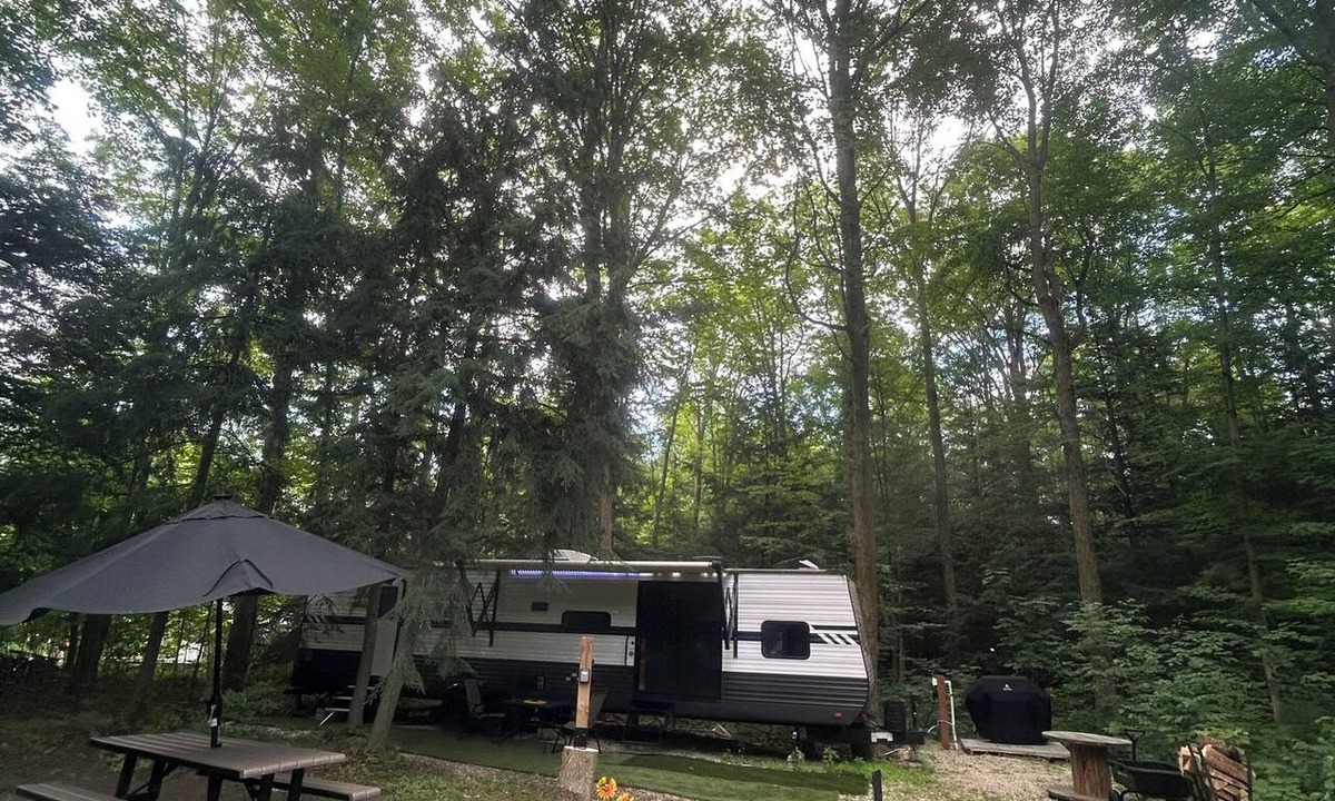 Clearview Cabin | Luxury Forest RV Retreat | Pond, Fire Pit, Nature & Peace