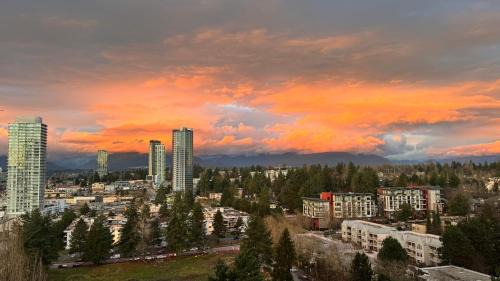 Surrey Apartment | Luxury high rise condo