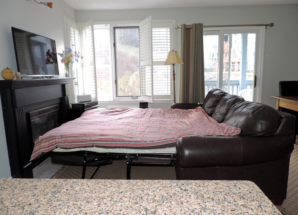 Craigleith Condo | Mountain and Pond-side, one bedroom, pet friendly