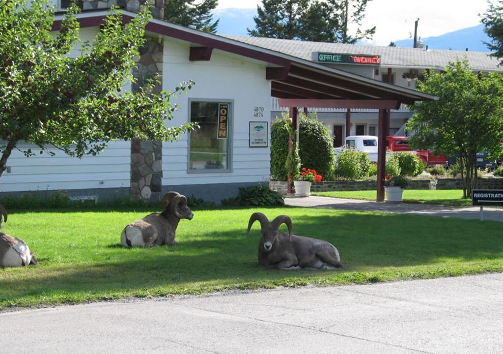 Radium Hot Springs Hotel | Mountain Springs Motel