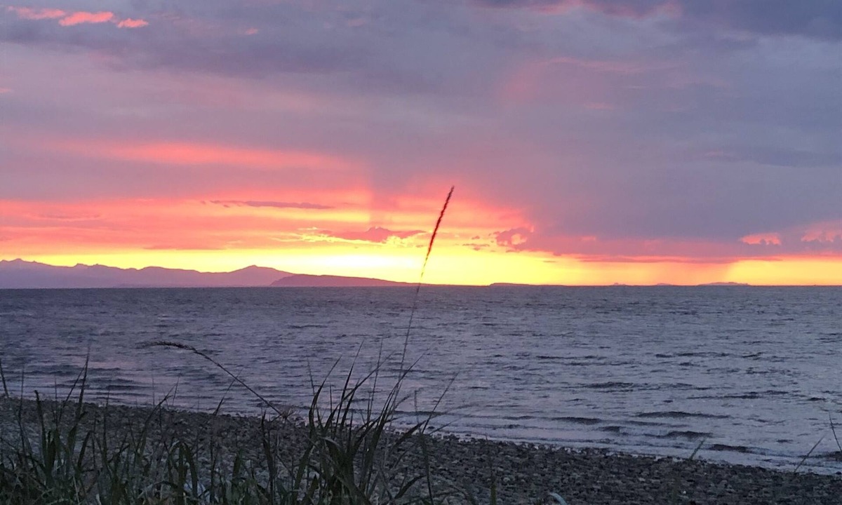 Regional District of Nanaimo House | Ocean front, Bird Sanctuary Zen like Retreat Beach home. Ocean & River Front.