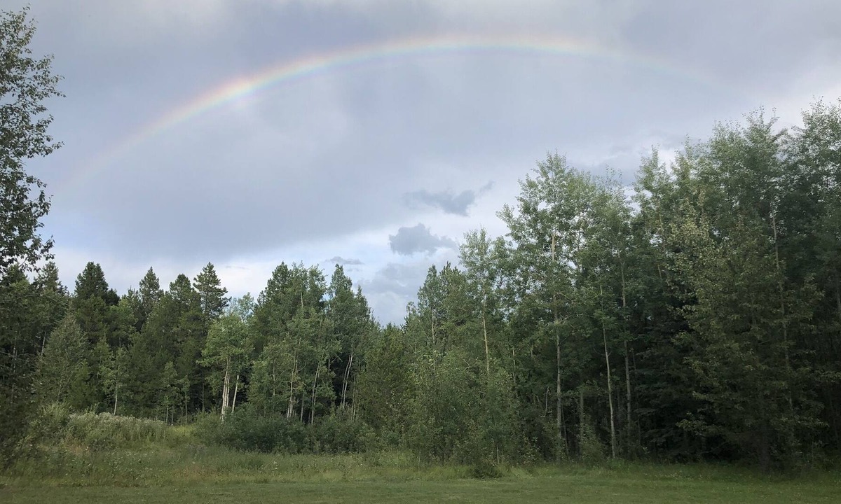 Sundre House | Peace and tranquility! Cozy home in forest setting.