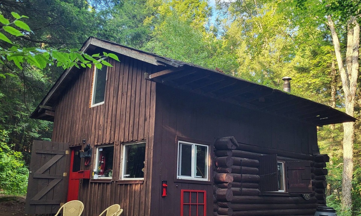 Baysville Cabin | Peaceful Cabin in the Woods walking distance to hike, swim, canoe & fish