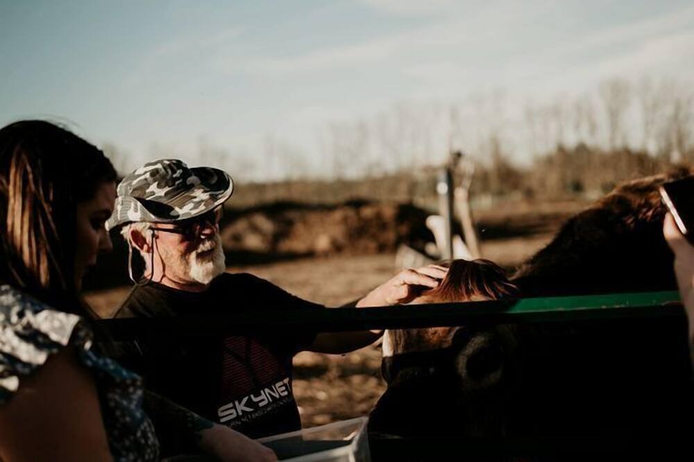 Markdale House | Pig-turesque Glamping Rental on an Animal Sanctuary for Ontario Getaway