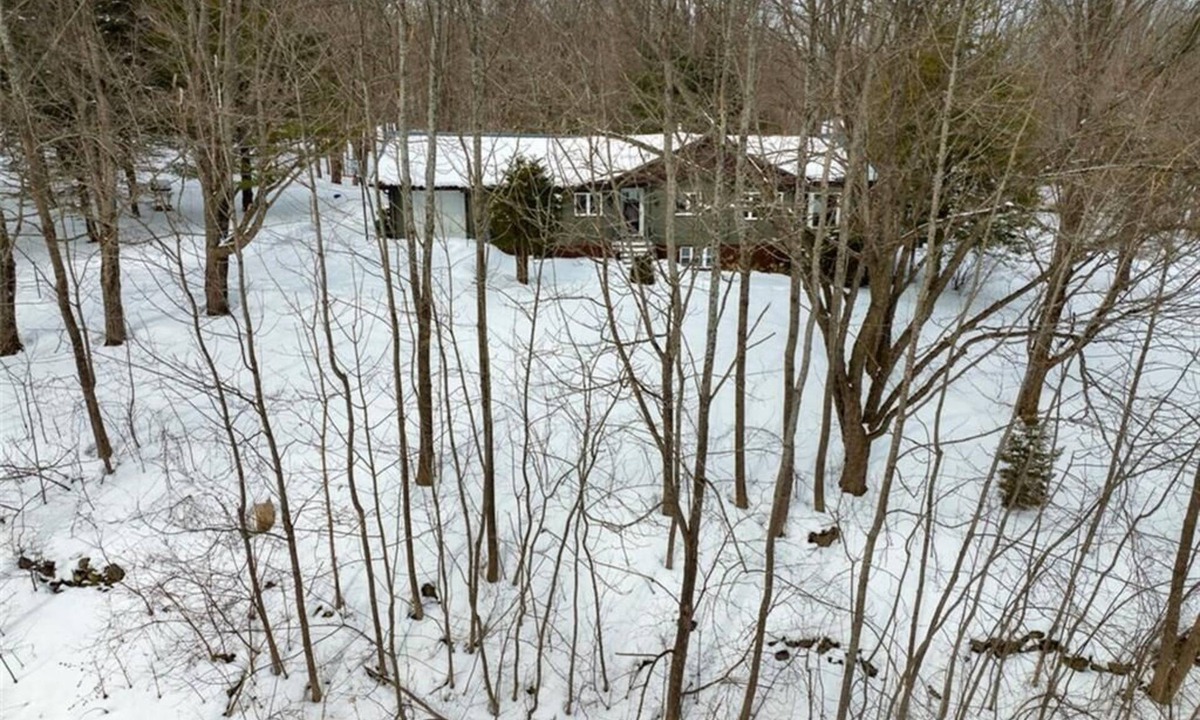 Glen Huron Cabin | Private Cabin Retreat in Pretty River Valley |15 min to Blue Mountain