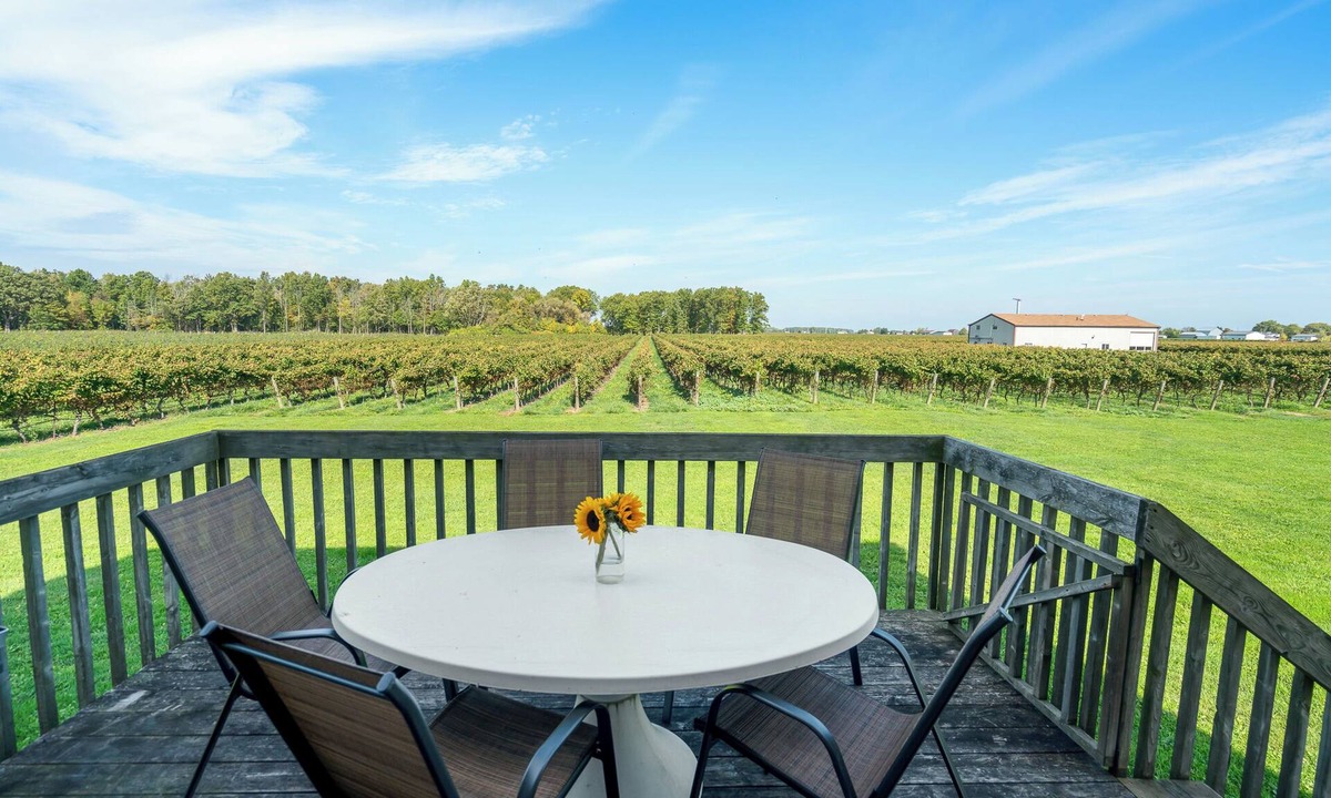 Virgil House | Scenic Niagara Vineyard Farm Home for up to 9ppl