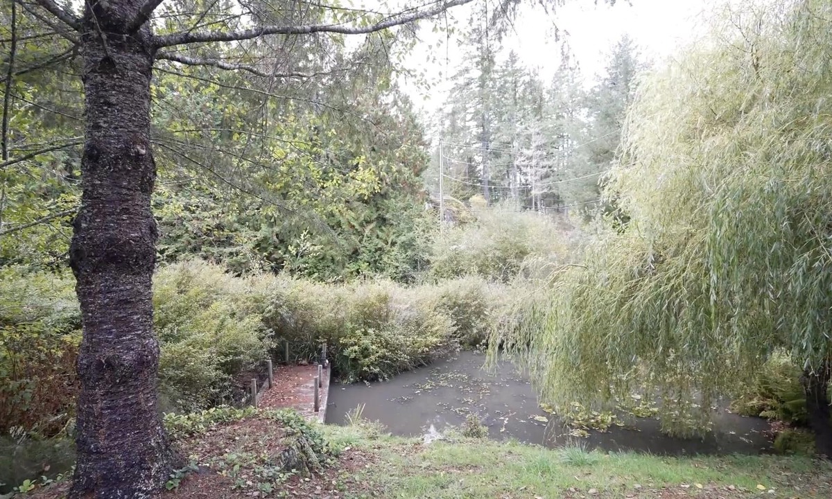 Sooke House | Sitka Grove - Beautiful garden suite in a park like setting!