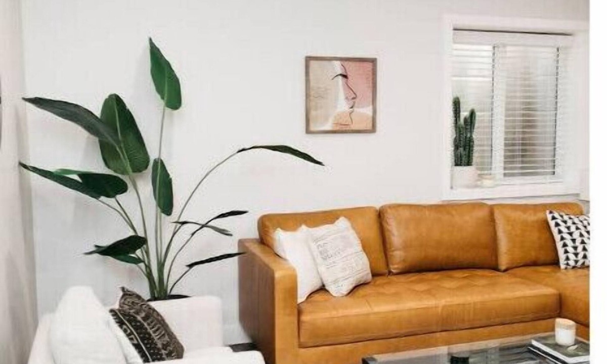 Langley House | Spacious 1 Bedroom Pet Friendly Suite