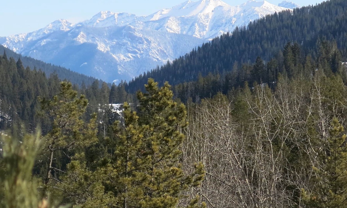 Panorama Condo | Spacious, Bright Upper Village Condo W/ A Great View.