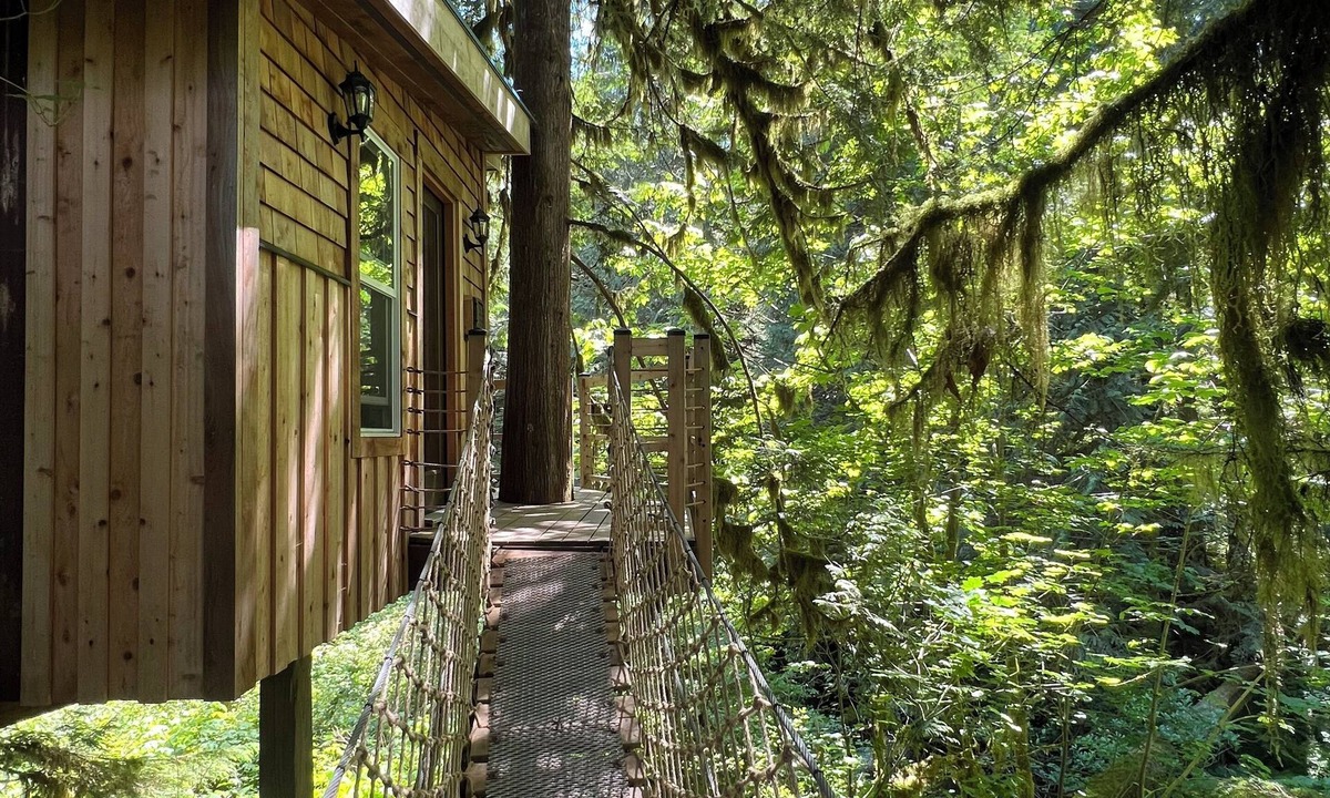 Upper Squamish Cabin | Squamish Tree House