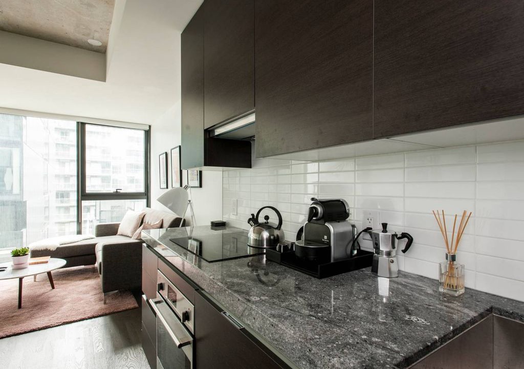 Niagara Apartment | Stunning 1BR Condo in Popular King West