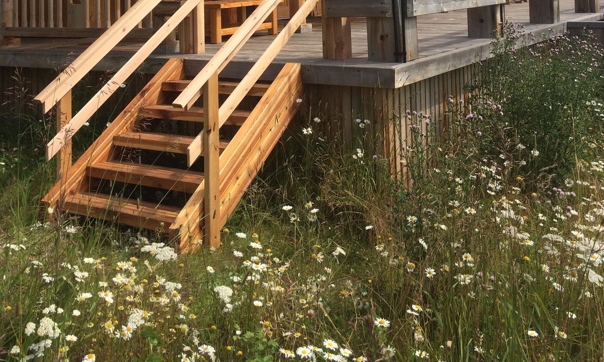 Moricetown Cabin | The Dutch Treat - L.D.R.