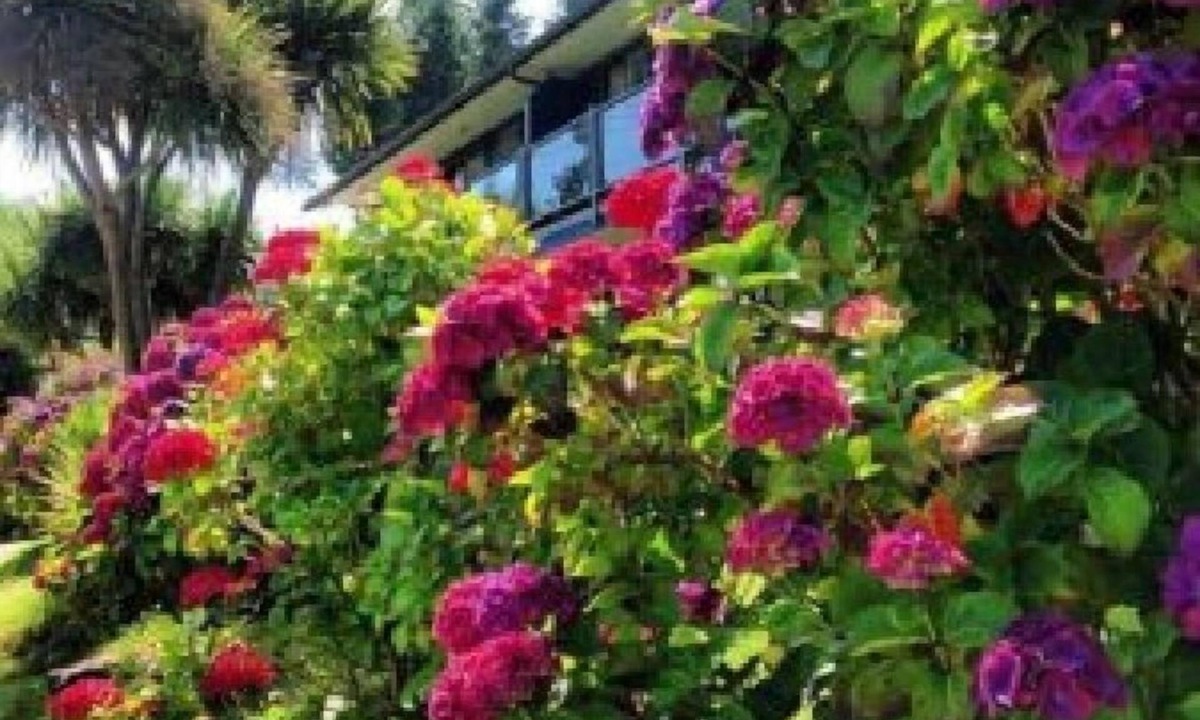 Tofino Hotel | Tofino Motel Harborview
