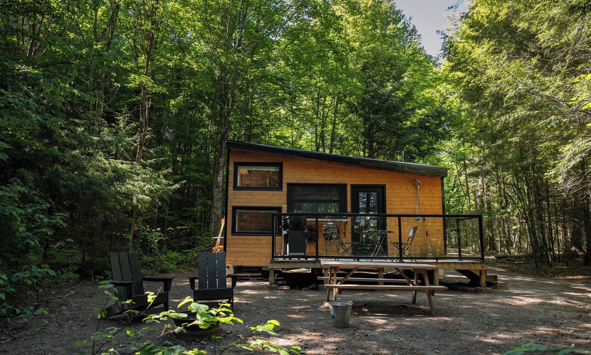 Dysart et al Cabin | Willow Cabin | Magnificent Remote Waterfront Cabin