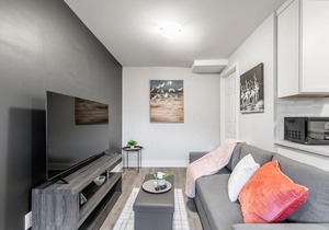 1BR - Boutique Apt w Netflix - Prime Location