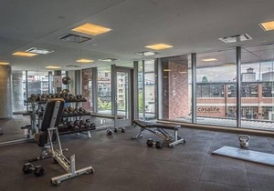 Trendy & Modern Studio near Exhibition Place