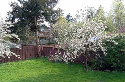 Saanich West House | #126 Broadway St - 6 Bedroom Two-Story House