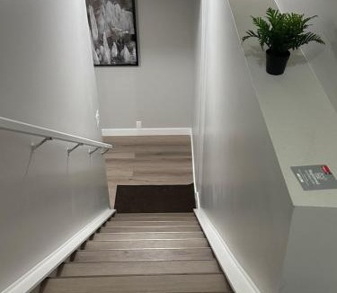 Calgary Apartment | A Luxurious Cozy Place
