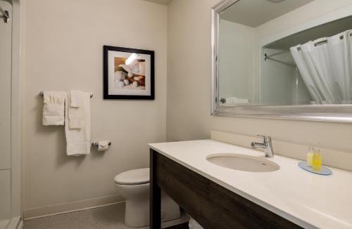 Grand Falls Hotel | Amsterdam Inn & Suites, an Ascend Collection Hotel
