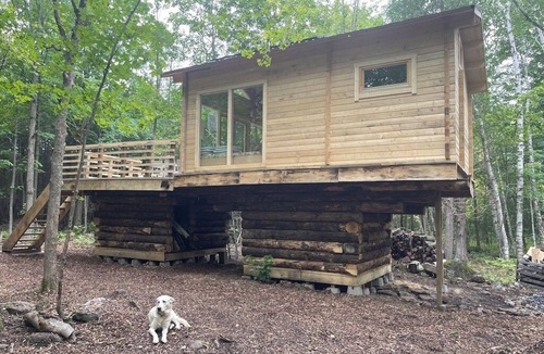 Alexandria Cabin | Anastasia’s Domain 3 Treehouse, Farm stay, off grid cabin in a beautiful forest!