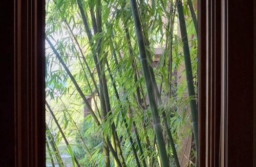 Salt Spring Island House | Bamboo Grove: Spectacular Ocean View Custom West Coast Timberframe Home.