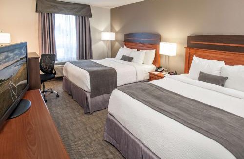 Moncton Hotel | Best Western Plus Moncton
