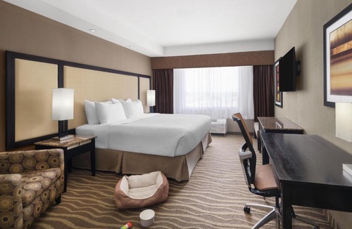 Calgary Hotel | Best Western Premier Freeport Inn Calgary Airport