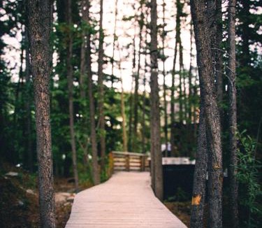 Whitehorse House | Black Spruce - Orange Door