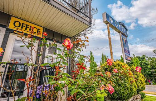 Regional District of Nanaimo Hotel | Bluebird Motel
