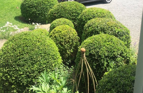 Bridgehampton Cottage | Bridgehampton South Garden Cottage