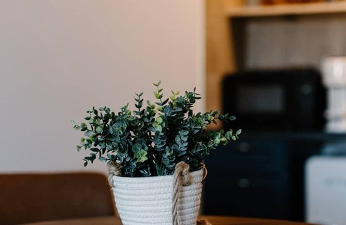 La Crete Apartment | Budget 1BR Loft in La Crete - Kitchenette
