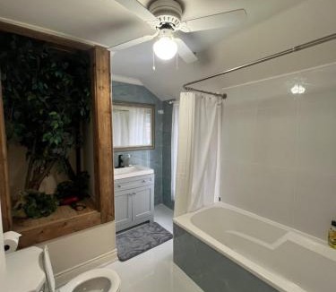 Cabbagetown House | Carlton House