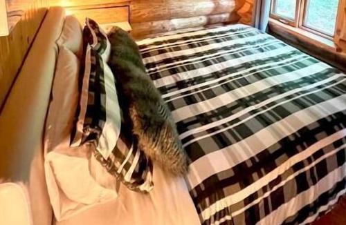 Saint-Gabriel-de-Valcartier Ski Chalet | Chalets Terre de l 'Orme Chalet Bois Rond à SGDV