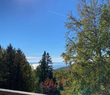 Petite-Riviere-Saint-Francois Ski Chalet | Chalet «L'Autrichien» de Charlevoix