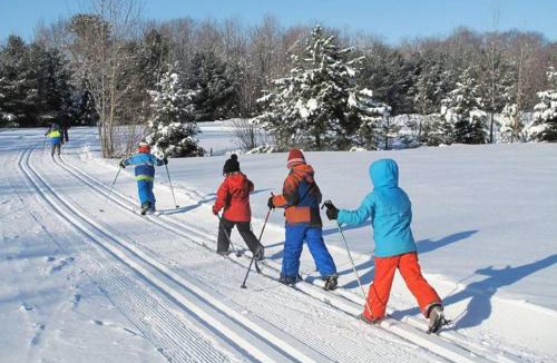 Sainte-Adele Hotel | Chalet Alpine
