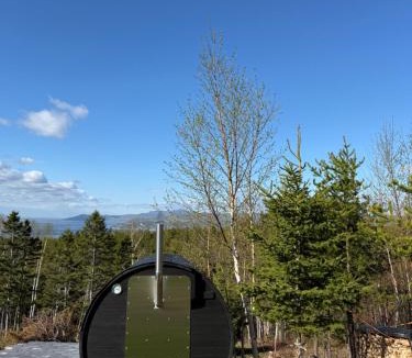 La Malbaie Ski Chalet | Chalet du bois flotté