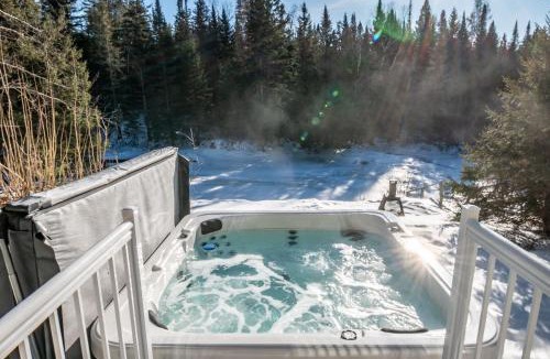 Saint-Alexis-des-Monts Ski Chalet | Chalet du Loup - Spa & Game room