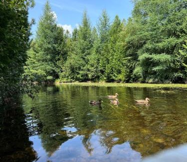 Chertsey Ski Chalet | Chalet -Havre au bord de l'eau