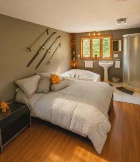 Papineau Regional County Municipality Ski Chalet | Chalet Zenatura