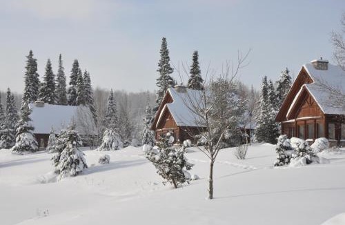 Saint-Faustin-Lac-Carre Ski Chalet | Chalets Royal Laurentien