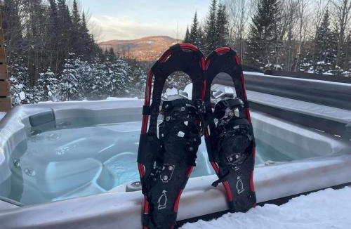 Val David Ski Chalet | Charme-Nord